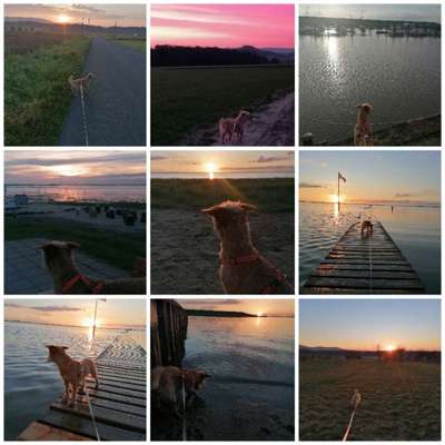 14. Collagen Challenge- Sonnenaufgang & -Untergang-Beitrag-Bild