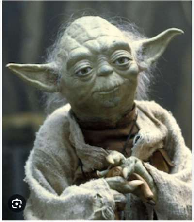 Dogorama Photo Challenge - TV Hund-Beitrag-Bild