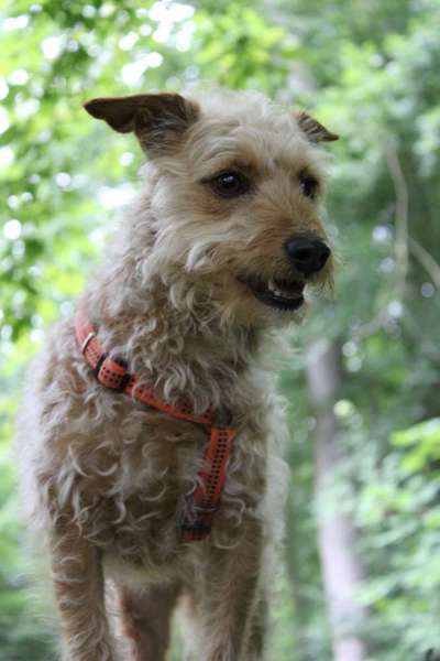 Austausch zur Fotografie-Beitrag-Bild