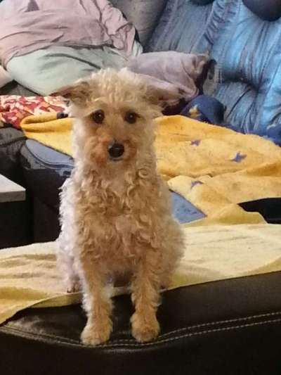 22. Collagen Challenge- Lebensfreude-Beitrag-Bild