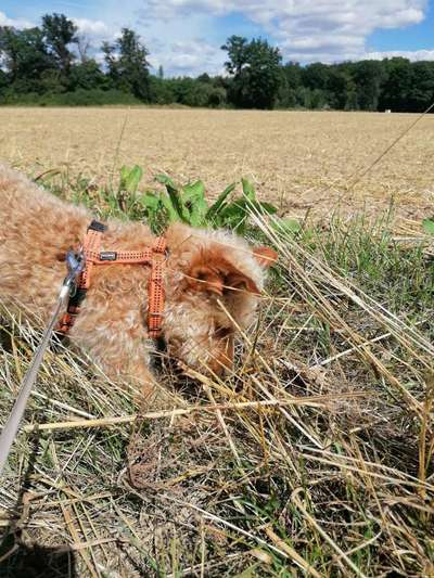 Fotochallenge 129-Beitrag-Bild