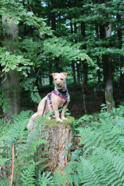 Austausch zur Fotografie-Beitrag-Bild