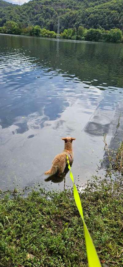 Fotowettbewerb: Wasserratte-Beitrag-Bild