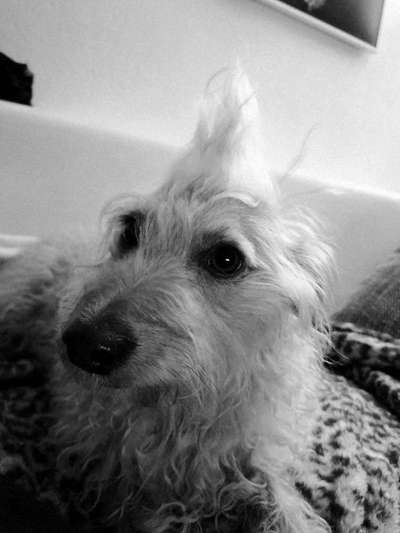 3. Farben/Fotochallenge: Schwarz/Weiß-Beitrag-Bild