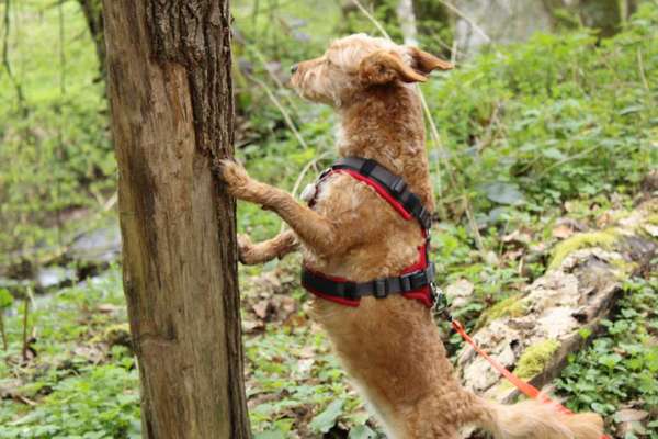 Austausch zur Fotografie-Beitrag-Bild