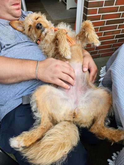 Foto-Challange: Schmuse-/Kuschel-/Ruhemodus-Beitrag-Bild