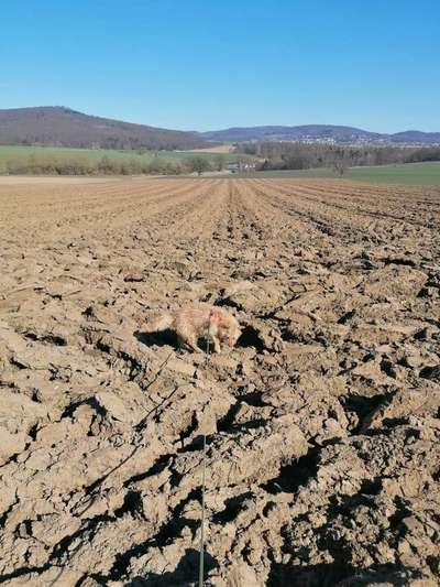 Ton in Ton-Beitrag-Bild