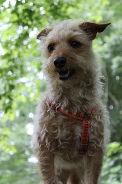 Austausch zur Fotografie-Beitrag-Bild