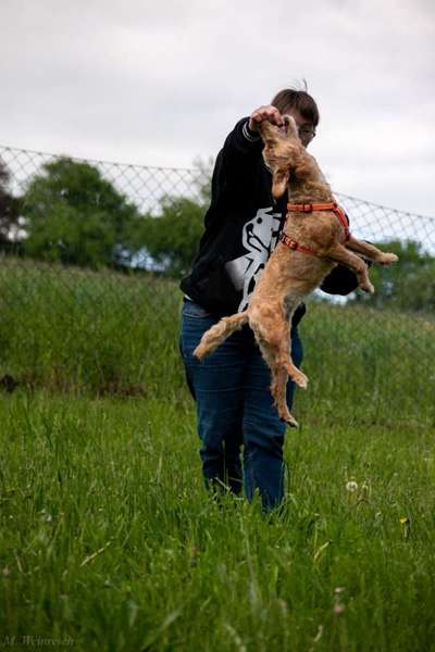 Dogorama Photo Challenge - Hunde in Action-Beitrag-Bild