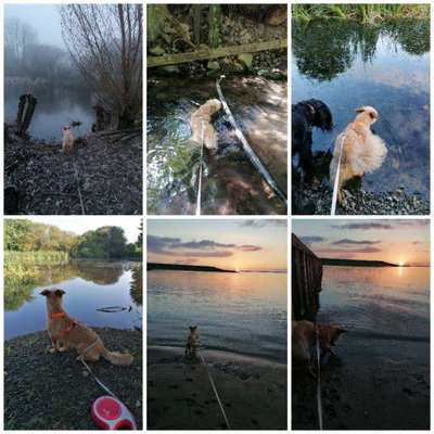 Eure schönsten Fotos mit Wasser-Beitrag-Bild