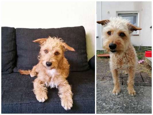 28. Handy-Fotochallenge - Damals und heute-Beitrag-Bild