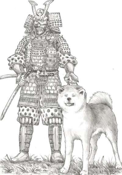 Was ist ein Anfängerhund?-Beitrag-Bild