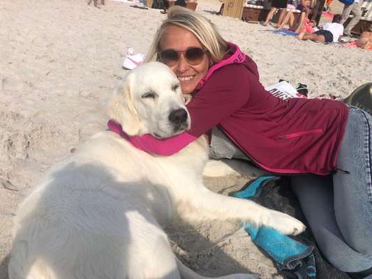 Urlaub auf Sylt mit Hund - perfekt-Beitrag-Bild