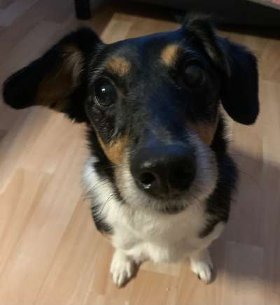 Fotochallange Nr. 57     PORTRÄT.   Beendet!!!!!!!!-Beitrag-Bild