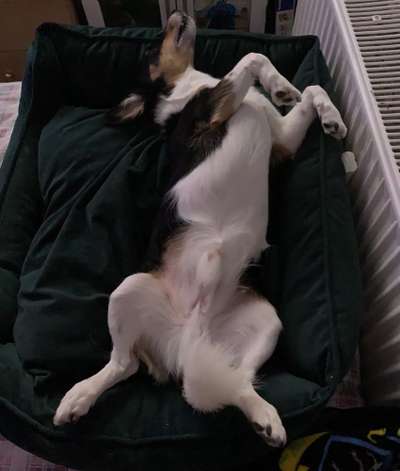 Schlafzeit!💖-Beitrag-Bild