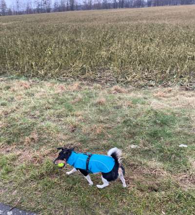 Fotochallenge Nr. 64-Beitrag-Bild