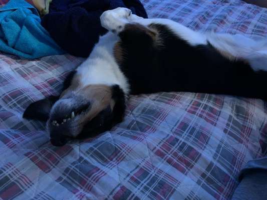 Die unbequemsten und lustigsten Schlafpositionen-Beitrag-Bild