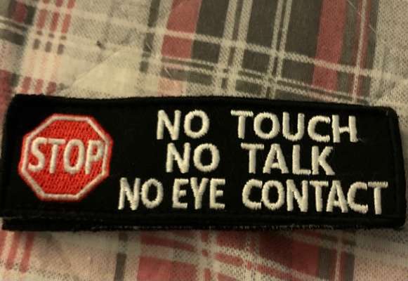 Jeder möchte zu meinem Welpen-Beitrag-Bild