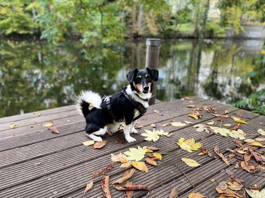 Lieblingsbild-Beitrag-Bild