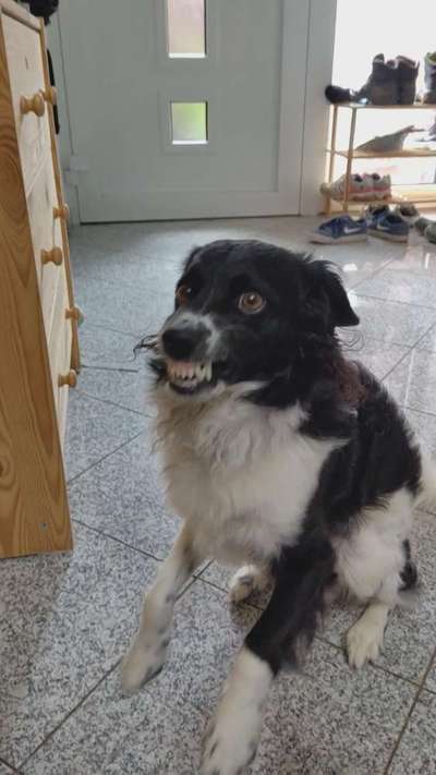 Häufige Vorurteile-Beitrag-Bild