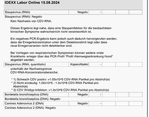Nasenpilz, Nasenmilben oder ...?-Beitrag-Bild