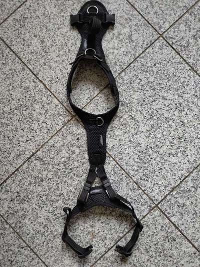 Wie sitzt mein Geschirr?-Beitrag-Bild