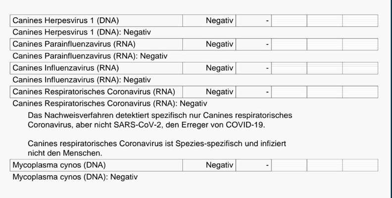 Nasenpilz, Nasenmilben oder ...?-Beitrag-Bild