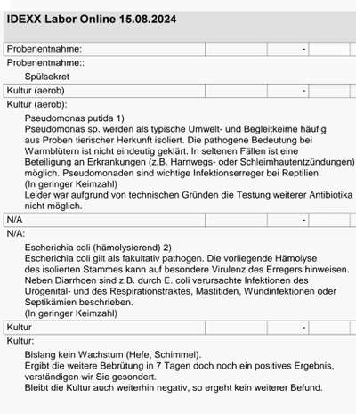 Nasenpilz, Nasenmilben oder ...?-Beitrag-Bild