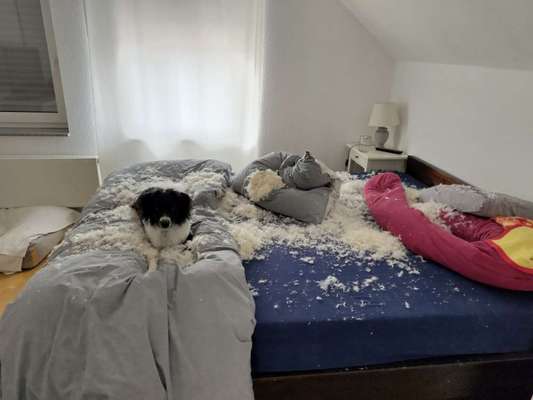 Was hat euch heute genervt?-Beitrag-Bild