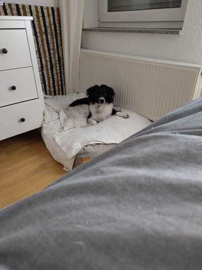 Was hat euch heute genervt?-Beitrag-Bild