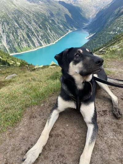 Fotochallenge No. 26                                     Wald und Wiese-Beitrag-Bild