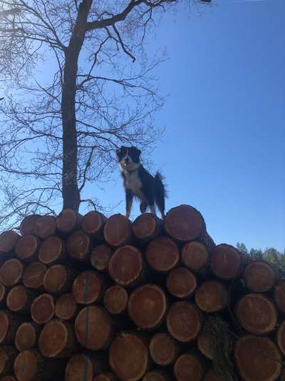 Fotowettbewerb Natur-Beitrag-Bild