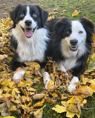 Fotowettbewerb Natur-Beitrag-Bild