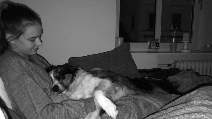 Hundmenschfotos-Beitrag-Bild