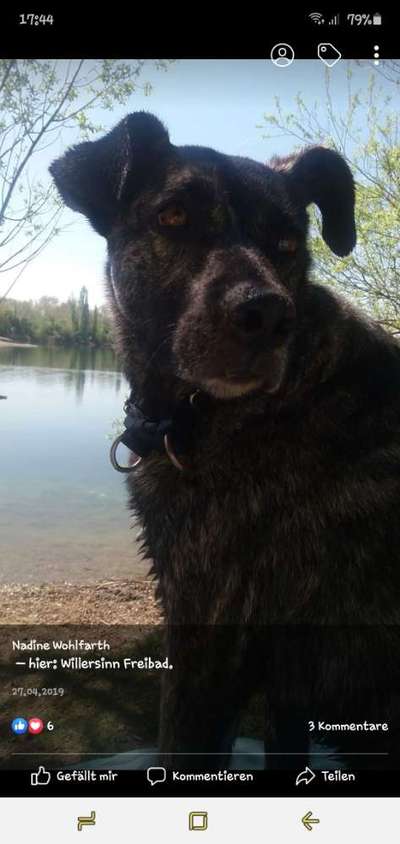 zeigt mal eure schönsten Fotos von euren Lieblingen.-Beitrag-Bild