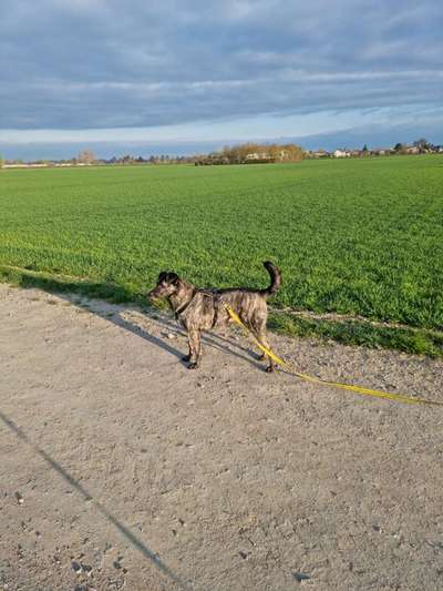 Eure Strandbilder :)-Beitrag-Bild