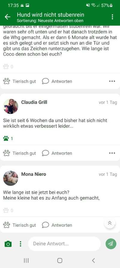 Hund wird nicht stubenrein-Beitrag-Bild