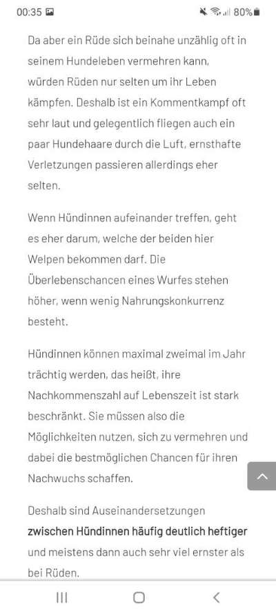 Begegnung Hündin aggressiv-Beitrag-Bild