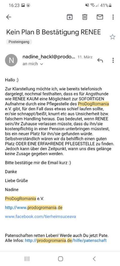 Trend Straßenhund- wer profitiert tatsächlich?-Beitrag-Bild