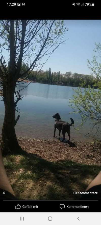 Fotochallenge 27-Beitrag-Bild