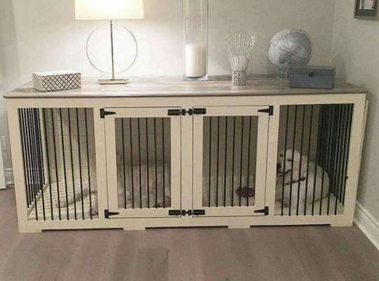 Hund in der Box?-Beitrag-Bild