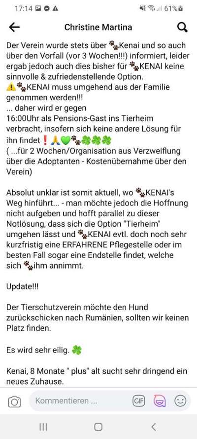 Herdenschutzhunde und Herdi-Mixe-Beitrag-Bild