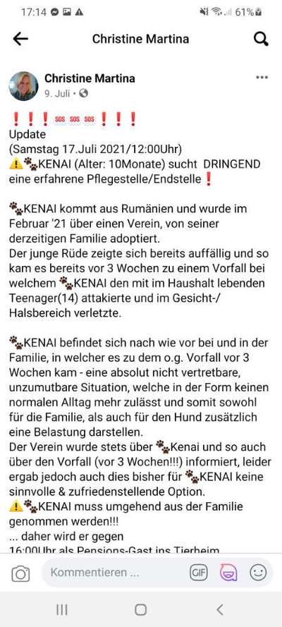 Herdenschutzhunde und Herdi-Mixe-Beitrag-Bild