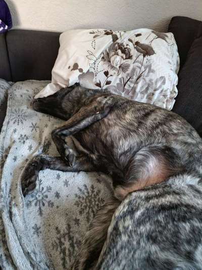 Challenge 21 - wo bin ich : )-Beitrag-Bild