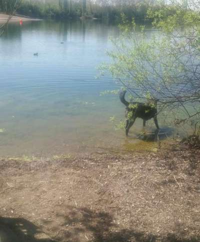 Eure Strandbilder :)-Beitrag-Bild