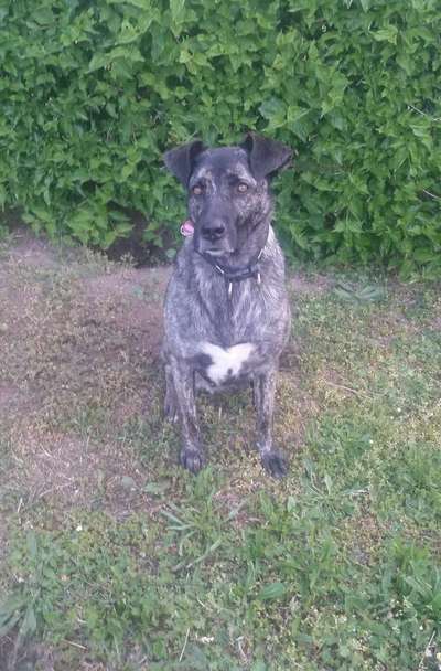 Fotochallenge No. 26                                     Wald und Wiese-Beitrag-Bild