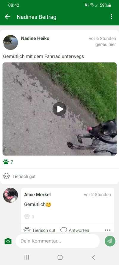 Radfahren mit Hund-Beitrag-Bild