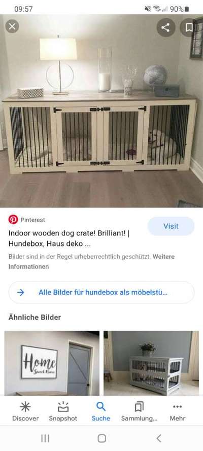 Hund in der Box?-Beitrag-Bild