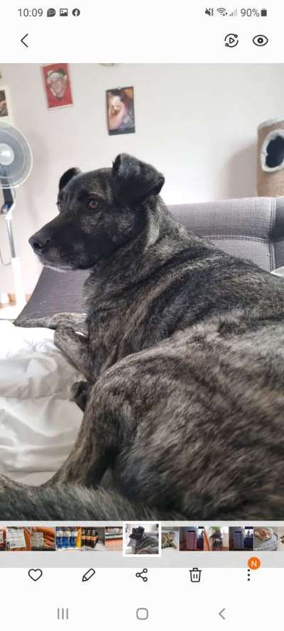 Neue Frontline-Beitrag-Bild