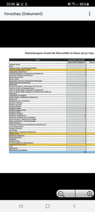 Trend Straßenhund- wer profitiert tatsächlich?-Beitrag-Bild